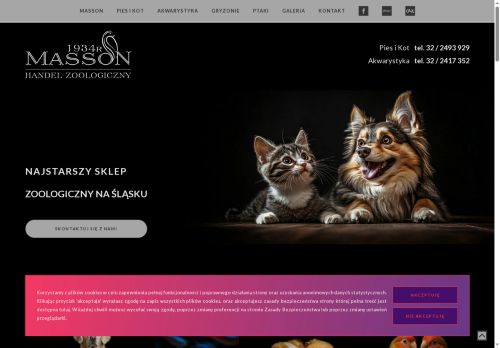 masson.com.pl