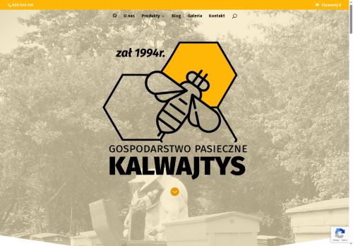 mazurskapasieka.pl