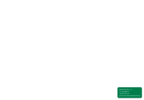 mediavision.pl