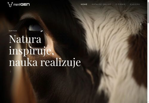 meritgen.pl