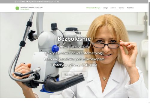 mikroendodoncja.pl