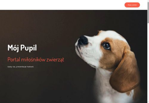 mojpupil.pl