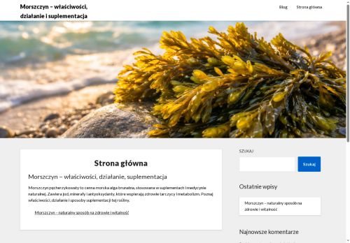 morszczyn.pl