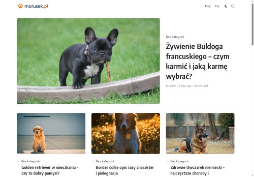 morusek.pl