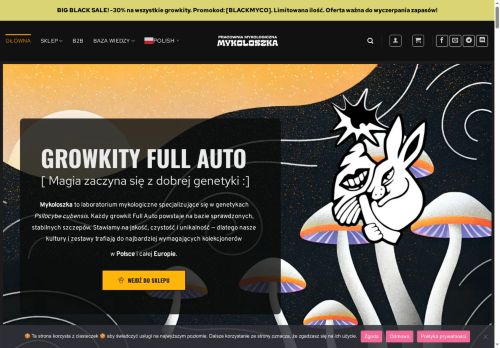 mykoloszka.pl