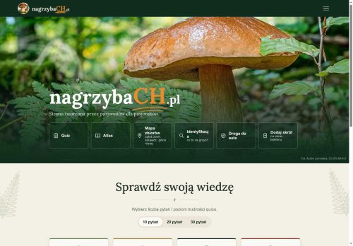 nagrzybach.pl