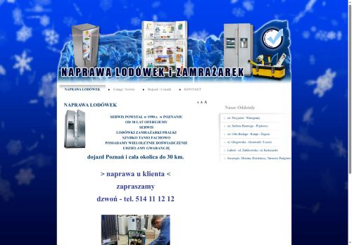naprawalodowki.com.pl