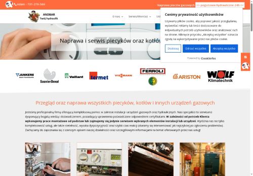 naprawypiecygazowych.pl