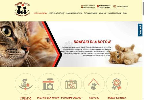 nasze-koty.com.pl