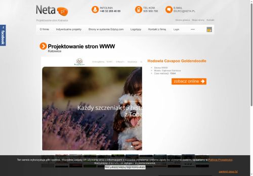 net.katowice.pl