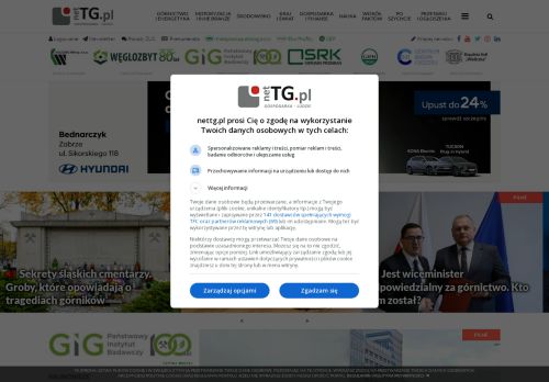 nettg.pl