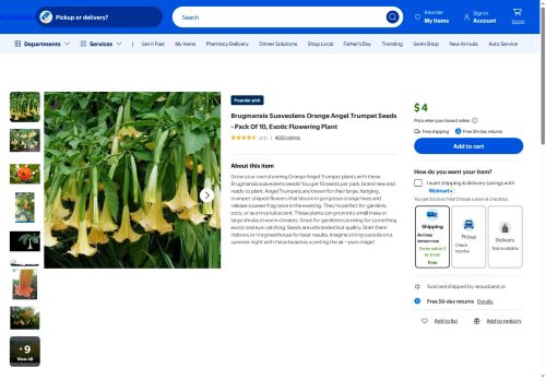 nexusband.pl