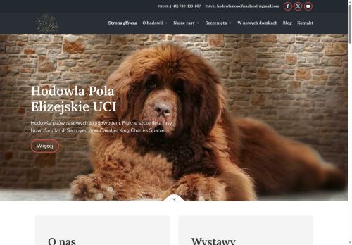 nowofundlandy.com.pl