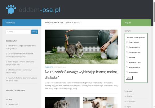oddam-psa.pl