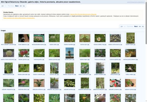 ogrod-botaniczny.oleander.pl