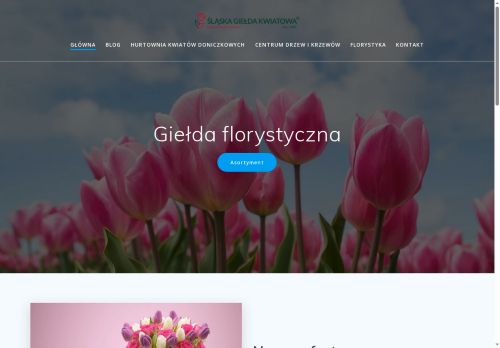 ogrodyogrodki.pl