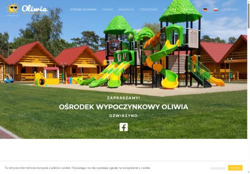 oliwiadzwirzyno.pl
