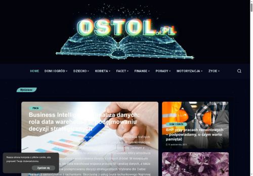ostol.pl
