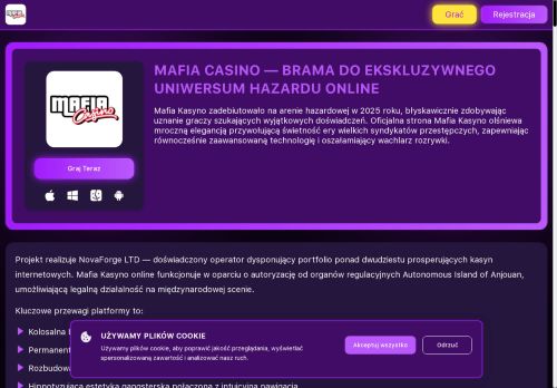 palyga.pl