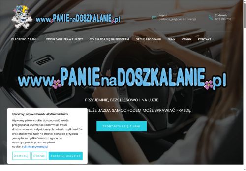 panienadoszkalanie.pl