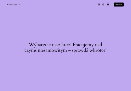 pantulipan.pl