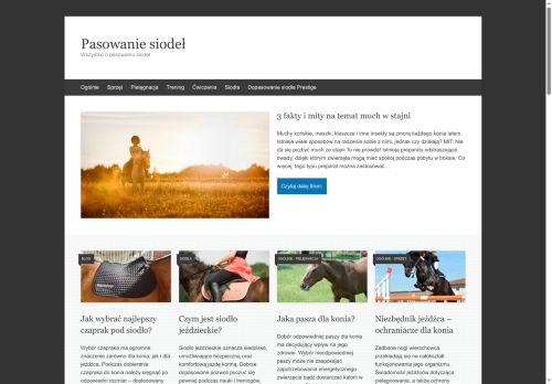 pasowaniesiodel.pl