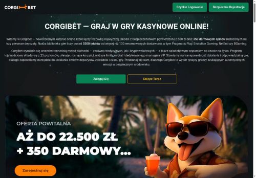 patsolutions.pl
