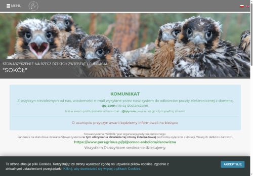 peregrinus.pl