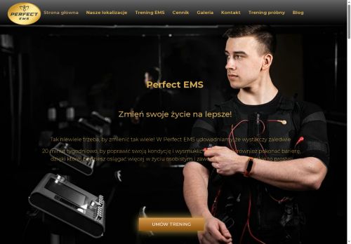 perfectems.pl