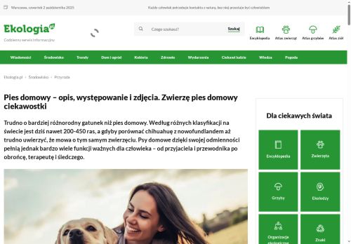 pies.pl
