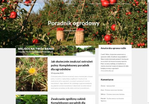 pieta.com.pl