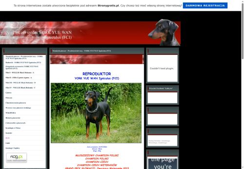 pinczersredni.pl.tl