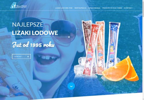 pininordpol.pl