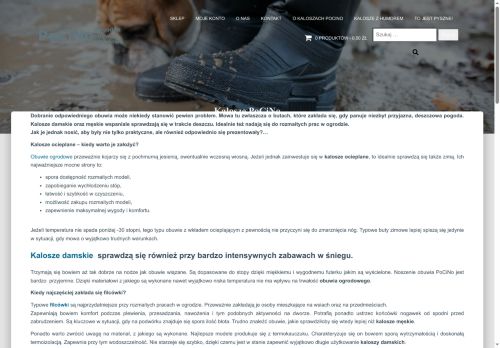 pocino.pl