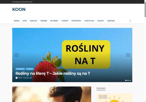 podulka.koon.pl