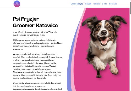 podwlos.katowice.pl