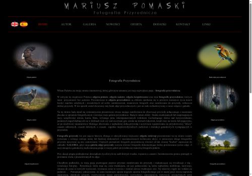 pomaski.pl