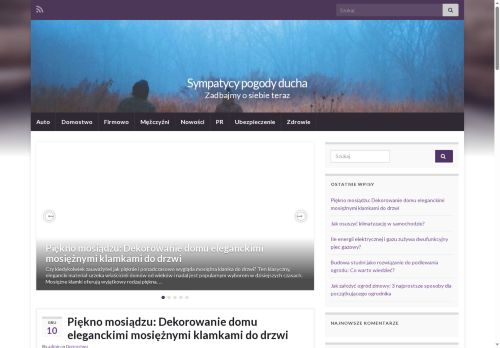 pomosty-plywajace.pl