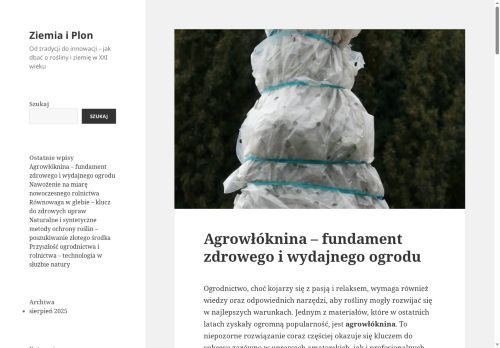 pomyslnik.pl