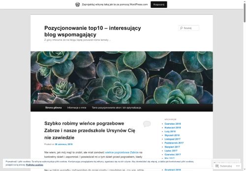 pozycjonowanietop10.wordpress.com