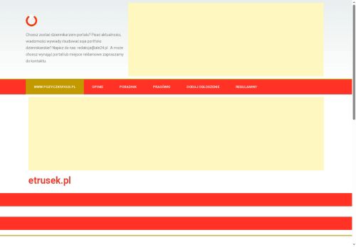 pozyczkivivus.pl