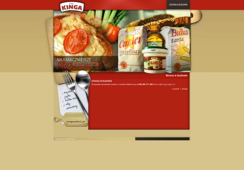pphkinga.pl