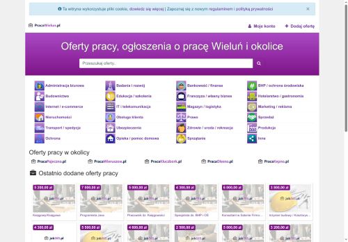 pracawielun.pl