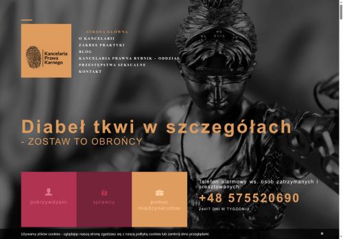 prawokarne.info