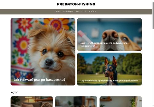 predator-fishing.pl