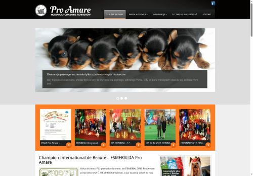 proamare.com