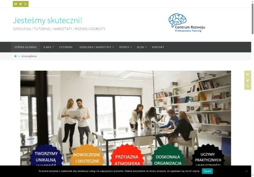 profesjonalnytutoring.pl