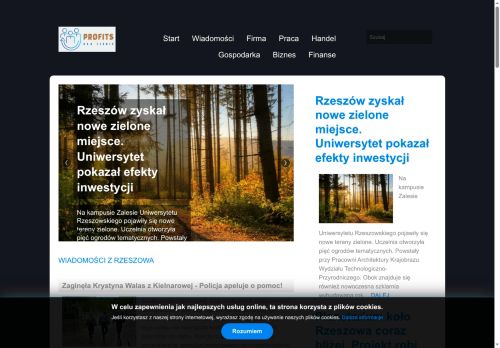 profits.com.pl