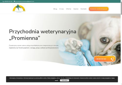 promienna.pl