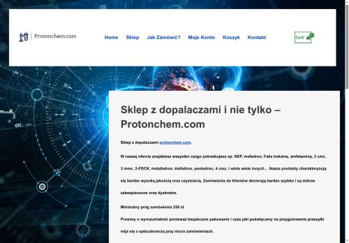 protonchem.com